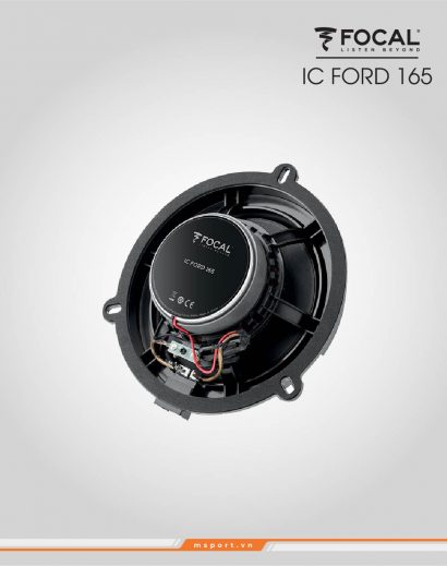 IC FORD 165_4