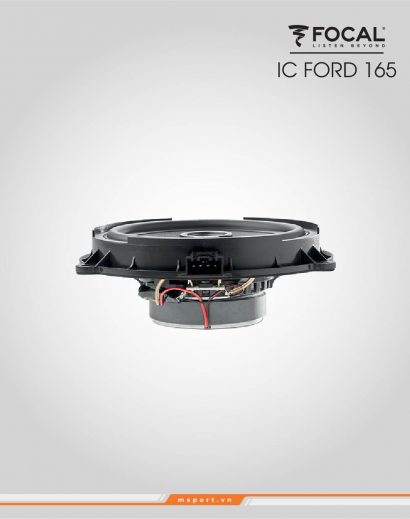 IC FORD 165_6