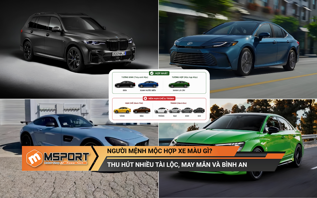 Người mệnh Mộc hợp xe màu gì để nhiều may mắn, tài lộc và bình an?