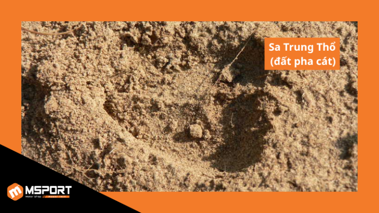Người sinh năm Bính Thìn 1976 thuộc hành Thổ nạp âm Sa Trung Thổ (đất pha trong cát)