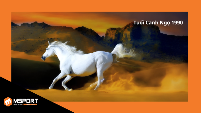 Tuổi Canh Ngọ 1990 hợp với các số 2, 5, 8, 9